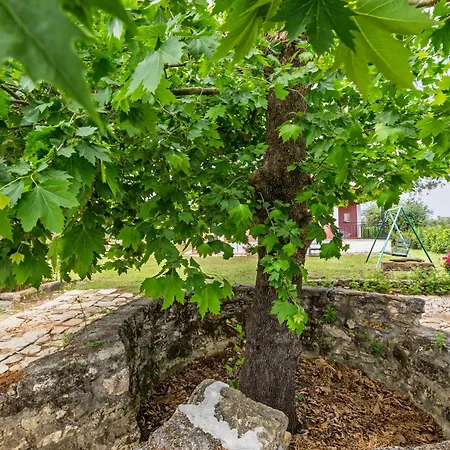 Appartement Nemorosa