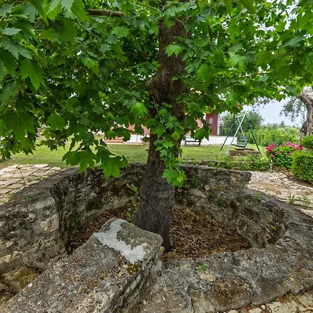 Nemorosa Апартаменты Meson Yerakarion