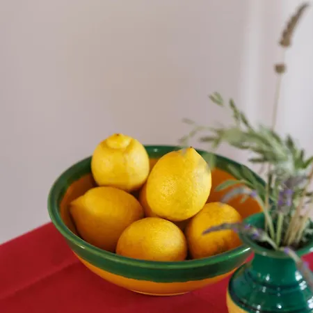 Nemorosa Meson Yerakarion