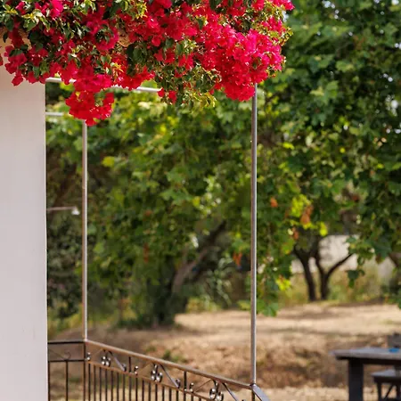 Nemorosa Apartmán *